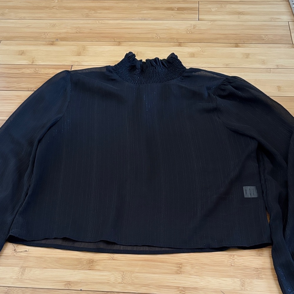 Super down sheer Elegant Black Women's Top